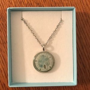 Gorgeous Sand Dollar Pendant Necklace